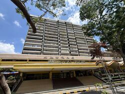Balestier Plaza (D12), Shop House #453935121